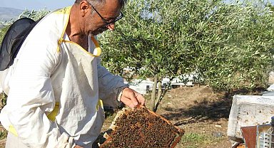 Doktorun annesine bal tavsiyesi hayatını değiştirdi