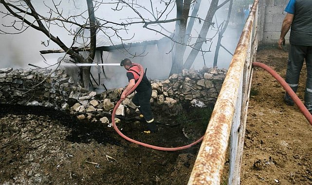 Domaniç'te çıkan yangında 100 tavuk telef oldu