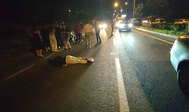 Domuz sürüsüne çarpan motosiklet sürücüsü ağır yaralandı