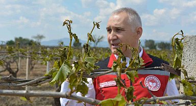 Don zararı sonrası bağlarda yapılması gerekenler sıralandı
