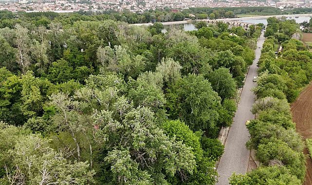 Edirne Millet Bahçesi'ne kavuşuyor