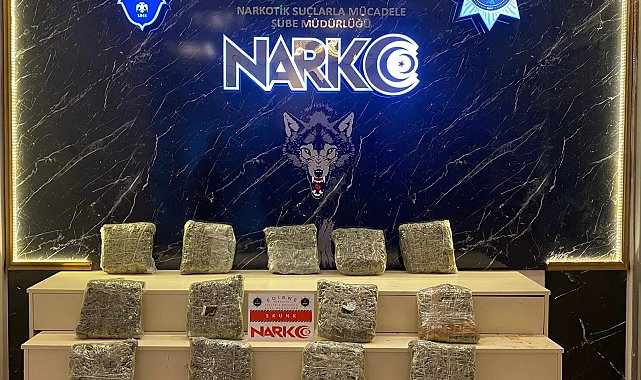 Edirne'de uyuşturucu operasyonu: Tırda 13 kilo skunk ele geçirildi