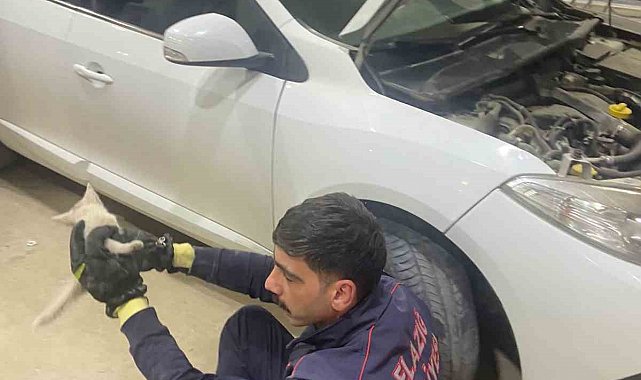 Elazığ'da aracın motor kısmına sıkışan kedi, itfaiye tarafından kurtarıldı