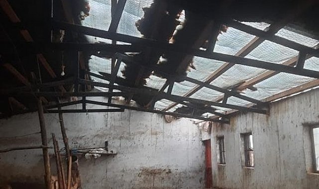 Elazığ'da etkili olan fırtına ahırın çatısını uçurdu