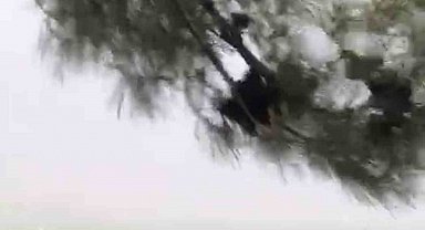 Elazığ'da fırtına etkili oldu