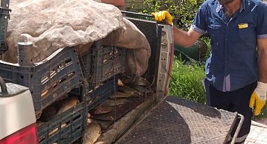 Elazığ'da kaçak avlanan 700 kilogram balık ele geçirildi