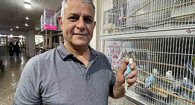 Elazığ'da muhabbet kuşlarına yoğun ilgi