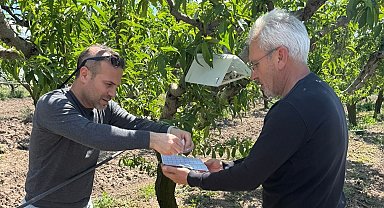 Elazığ'da şeftali güvesine karşı feromon tuzak