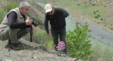 Elazığ'da Ulusal Biyolojik Çeşitlilik ve Envanter İzleme Projesi çalışması