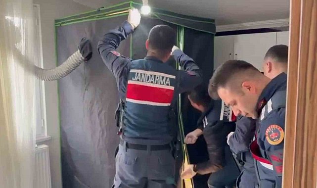 Elbise dolabından uyuşturucu serası çıktı: 4 tutuklama