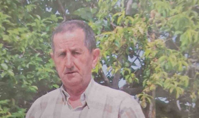 Emekli öğretmen her yerde aranıyor