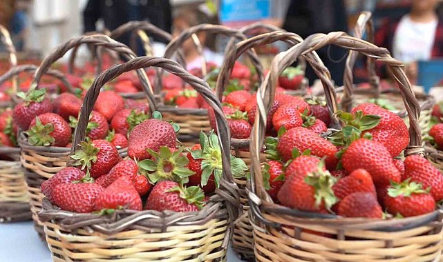 Emiralem Çilek Festivali için geri sayım başladı