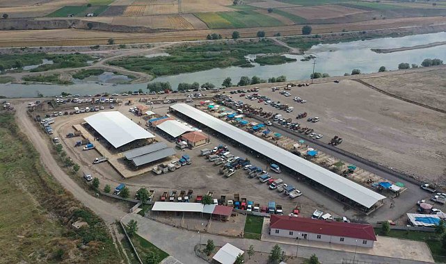 Erbaa hayvan pazarı 5 Mayıs'ta yeniden açılıyor