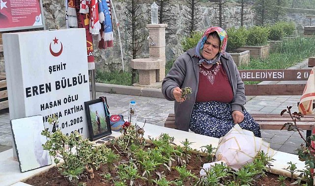 Eren Bülbül'ün annesi Ayşe Bülbül, PKK'nın silah bırakmasını değerlendirdi: "Eren'ler şehit edilmesin, hiçbir Ayşe anne ağlamasın diye onay veririm"