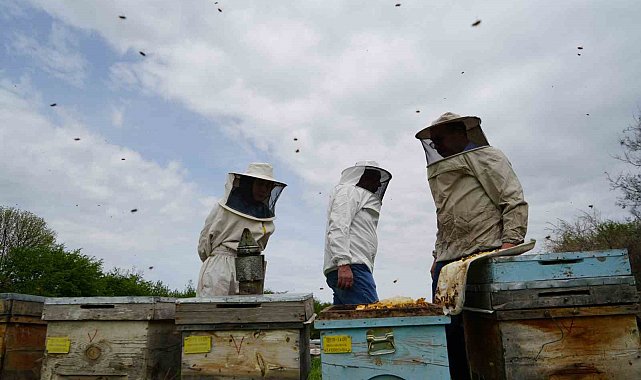 Erzincan'da 100 bin üzeri kolonide 1 milyon kilogram bal üretiliyor