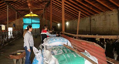 Erzincan'da kadın muhtar, hayvancılıkta örnek oluyor