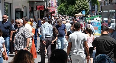 Erzincan'da ortalama hanehalkı büyüklüğü 2,79 oldu