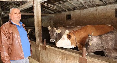 Erzurum'da kurbanlık satışında bekleyiş sürüyor