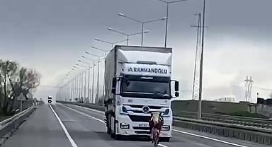 Erzurum'da tosun karayoluna çıktı