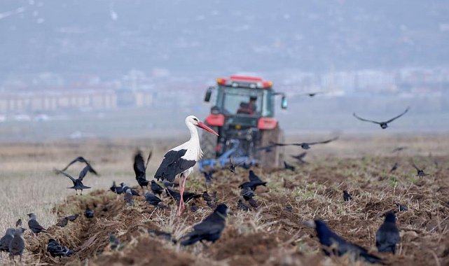 Erzurum'da traktör ve motosiklet sayısında artış var