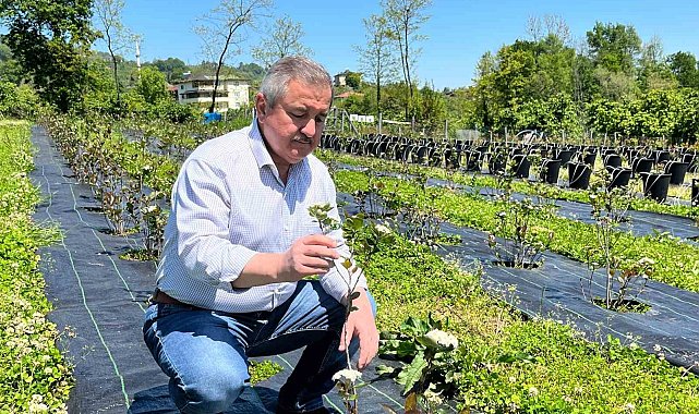 Eski başkanın "şifa bahçesi": Siyasi yorgunluğu tıbbi aromatik bitkilerle atıyor