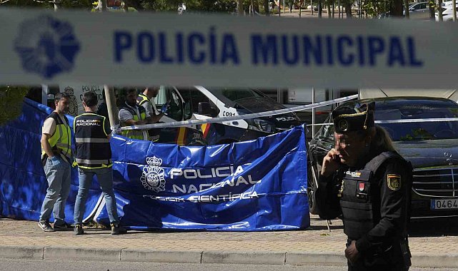 Eski Ukrayna Devlet Başkanı Yanukoviç'in Yardımcısı, İspanya'da vurularak öldürüldü