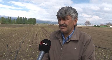 Eskişehir'de yetersiz yağışlar sebze ve meyve fiyatlarını olumsuz etkiledi