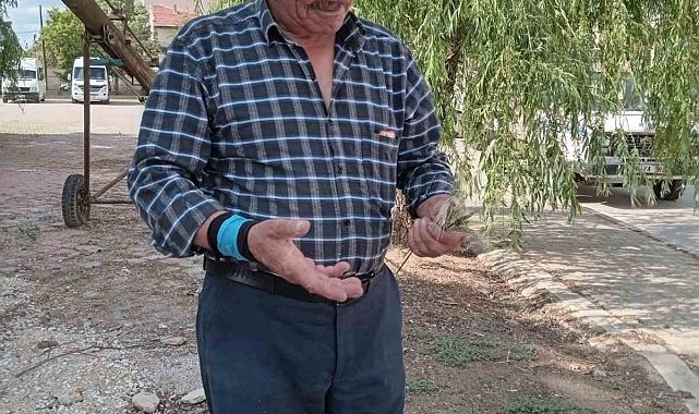 Eskişehir'de zirai don, buğday ve arpa üretimini vurdu