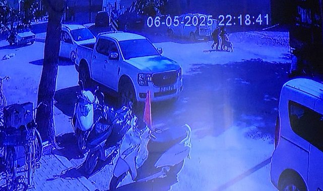 Evden kaçan köpek sokakta yürüyen kızlara saldırdı