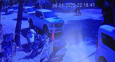 Evden kaçan köpek sokakta yürüyen kızlara saldırdı