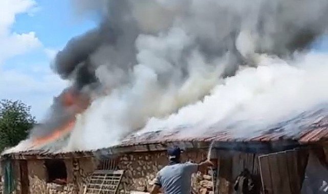 Farelerin kemirdiği kablodan çıkan yangın ahırı kül etti: 30 koyun son anda kurtarıldı