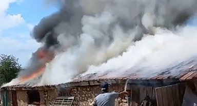 Farelerin kemirdiği kablodan çıkan yangın ahırı kül etti: 30 koyun son anda kurtarıldı