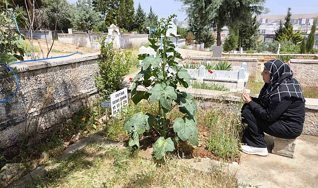 Feray Şahin, Anneler Günü'nde mezarı başında anıldı