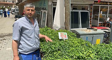 Fideleri bahçesine ekenler kendi yetiştirip kendi yiyor