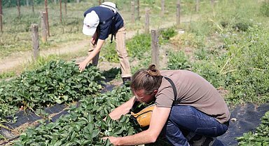 Fransa'dan gelip Nilüfer'in sağlıklı gıda politikalarını incelediler