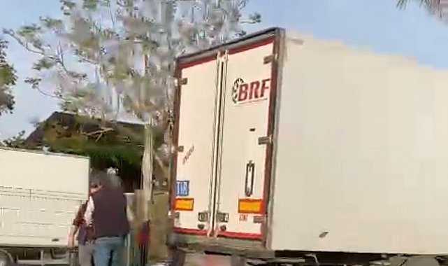 Gazipaşa'da sebze yüklü tır refüjdeki palmiye ağacına çarptı: 1 yaralı