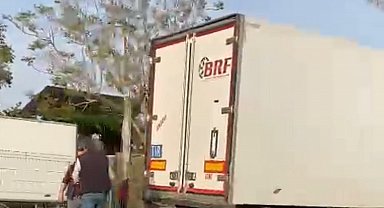 Gazipaşa'da sebze yüklü tır refüjdeki palmiye ağacına çarptı: 1 yaralı