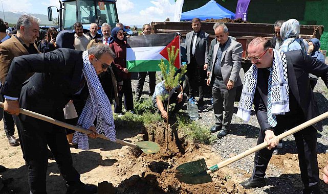 Gazze hatıra ormanında umut yeşerecek