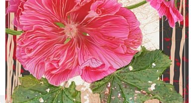 Gediz'in Yağmurlar köyü, sanat ve bilime ilham kaynağı oldu