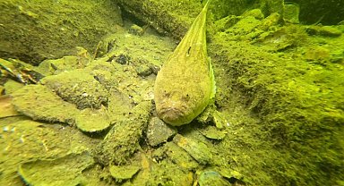 Gemlik'in dip temizliği büyükşehirden