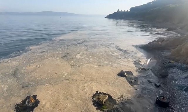 Gemlik'te müsilaj paniği