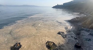 Gemlik'te müsilaj paniği