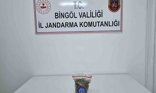 Genç'te uyuşturucu operasyonu