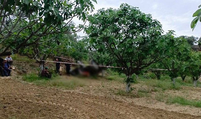 Germencik'te devrilen traktörün altında kalan şahıs hayatını kaybetti