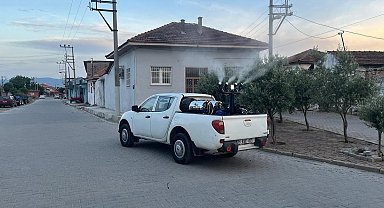 Germencik'te gece ilaçlamaları başladı