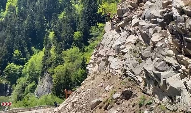 Giresun-Sivas karayolunda tehlike oluşturan kayalar yamaçlardan kontrollü olarak temizleniyor