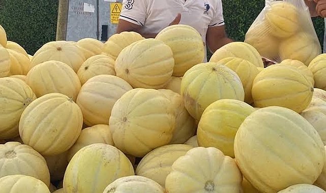 Gönen kavunu coğrafi işaret yolunda