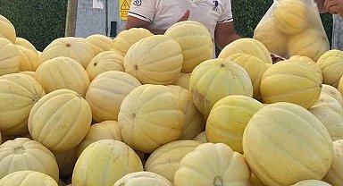 Gönen kavunu coğrafi işaret yolunda