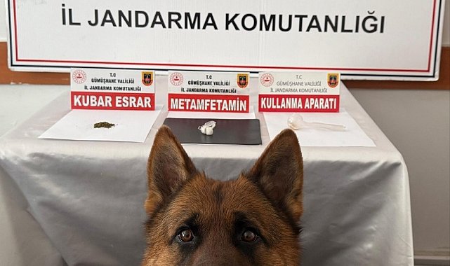 Gümüşhane'de uyuşturucu operasyonu