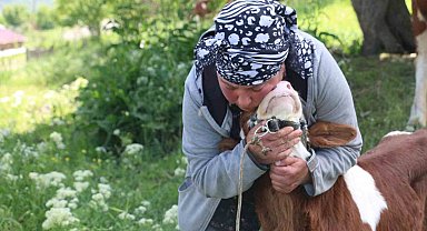 Gürcistanlı Nino, Erzincan çiftçiliğine renk katıyor